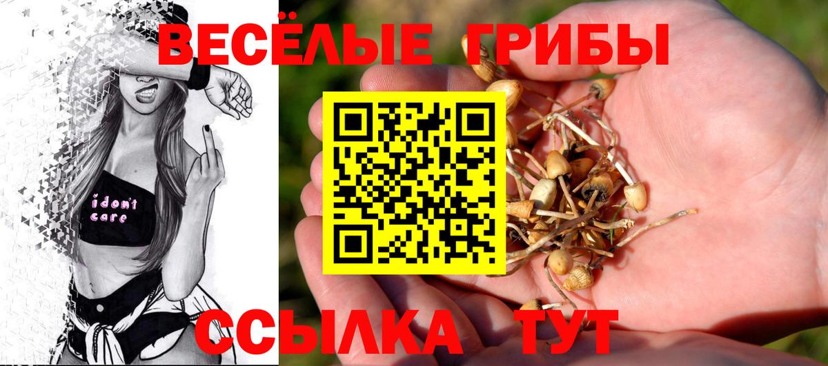 Галлюциногенные грибы ЛСД  Галлюциногенные грибы MAGIC MUSHROOMS  продажа наркотиков  Конаково  Вход с VPN 