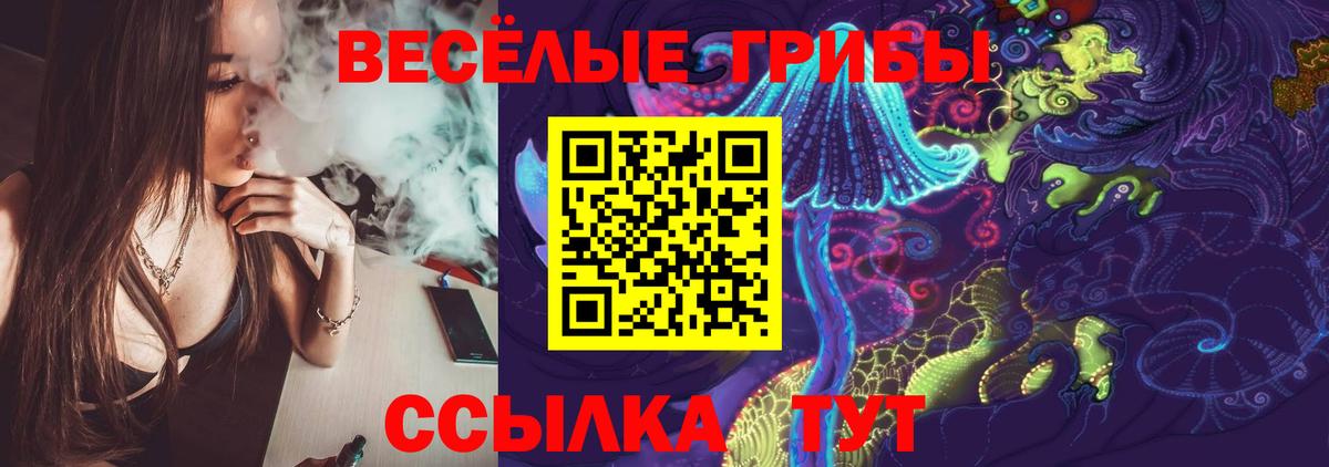 Псилоцибиновые грибы GOLDEN TEACHER Конаково